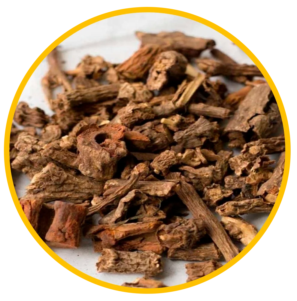 Sarsaparilla Root Extract